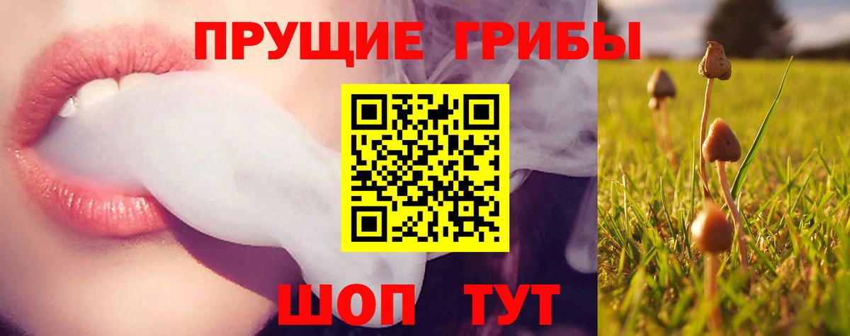 даркнет сайт  Вход с VPN  Псилоцибиновые грибы ЛСД  Топки  Галлюциногенные грибы мухоморы 