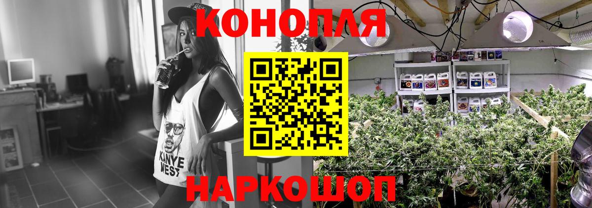 Бошки Шишки MAZAR  Вход с VPN  Канабис Bruce Banner  Конопля MAZAR  Топки 